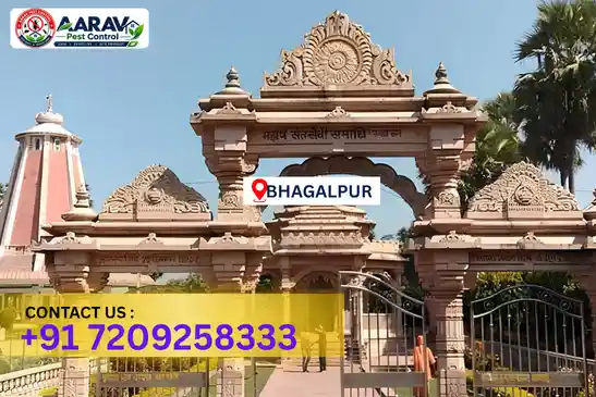 pest control in bhagalpur, pest control bhagalpur, pest control services bhagalpur, pest control company in bhagalpur, aarav pest control bhagalpur, best pest control in bhagalpur, professional pest control bhagalpur, termite control in bhagalpur, termite treatment bhagalpur, cockroach control bhagalpur, bed bug control bhagalpur, mosquito control bhagalpur, rat control bhagalpur, rodent control bhagalpur, ant control bhagalpur, lizard control bhagalpur, wood borer control bhagalpur, wood borer treatment bhagalpur, general pest control bhagalpur, home pest control bhagalpur, commercial pest control bhagalpur, pest control near me bhagalpur, pest control price bhagalpur, pest control price list bhagalpur, price list in bhagalpur, pest control cost bhagalpur, termite control price bhagalpur, wood borer treatment price bhagalpur, best pest control company in bhagalpur, pest control service in bhagalpur, aarav pest control price list bhagalpur, aarav pest control termite control bhagalpur, aarav pest control wood borer treatment bhagalpur