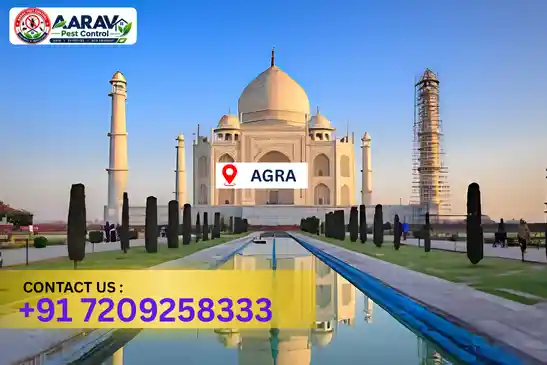 agra pest control, pest control in agra, pest control service agra, pest control company in agra, best pest control agra, home pest control agra, commercial pest control agra, termite control in agra, termite treatment agra, cockroach control agra, mosquito control agra, bed bug control agra, rat control agra, lizard control agra, ant control agra, general pest control agra, pest management agra, pest control price agra, agra pest control price list, price list in agra, pest control company in agra, termite control in agra, affordable pest control agra, professional pest control agra, pest control near me agra, pest control services agra uttar pradesh, aarav pest control agra, aarav pest control in agra, aarav pest control uttar pradesh.