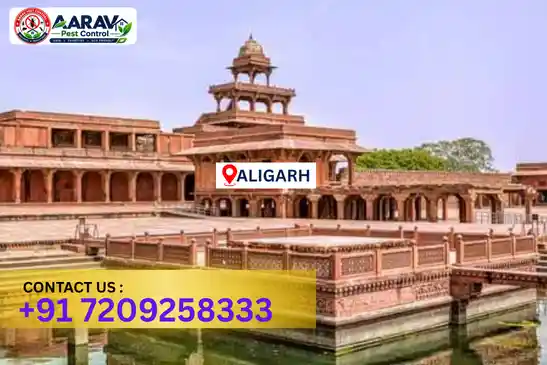 aligarh pest control, pest control in aligarh, pest control service aligarh, pest control company in aligarh, best pest control aligarh, home pest control aligarh, commercial pest control aligarh, termite control in aligarh, termite treatment aligarh, cockroach control aligarh, mosquito control aligarh, bed bug control aligarh, rat control aligarh, lizard control aligarh, ant control aligarh, general pest control aligarh, pest management aligarh, pest control price aligarh, aligarh pest control price list, price list in aligarh, pest control company in aligarh, termite control in aligarh, affordable pest control aligarh, professional pest control aligarh, pest control near me aligarh, pest control services aligarh uttar pradesh, aarav pest control aligarh, aarav pest control in aligarh, aarav pest control uttar pradesh.