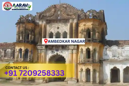 ambedkar nagar pest control, pest control in ambedkar nagar, pest control service ambedkar nagar, pest control company in ambedkar nagar, best pest control ambedkar nagar, home pest control ambedkar nagar, commercial pest control ambedkar nagar, termite control in ambedkar nagar, termite treatment ambedkar nagar, cockroach control ambedkar nagar, mosquito control ambedkar nagar, bed bug control ambedkar nagar, rat control ambedkar nagar, lizard control ambedkar nagar, ant control ambedkar nagar, general pest control ambedkar nagar, pest management ambedkar nagar, pest control price ambedkar nagar, ambedkar nagar pest control price list, price list in ambedkar nagar, pest control company in ambedkar nagar, termite control in ambedkar nagar, affordable pest control ambedkar nagar, professional pest control ambedkar nagar, pest control near me ambedkar nagar, pest control services ambedkar nagar uttar pradesh, aarav pest control ambedkar nagar, aarav pest control in ambedkar nagar, aarav pest control uttar pradesh.