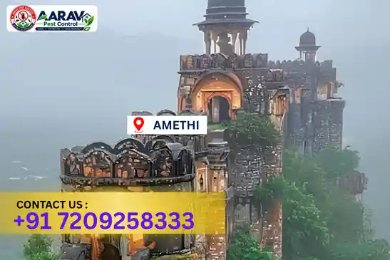 amethi pest control, pest control in amethi, pest control service amethi, pest control company in amethi, best pest control amethi, home pest control amethi, commercial pest control amethi, termite control in amethi, termite treatment amethi, cockroach control amethi, mosquito control amethi, bed bug control amethi, rat control amethi, lizard control amethi, ant control amethi, general pest control amethi, pest management amethi, pest control price amethi, amethi pest control price list, price list in amethi, pest control company in amethi, termite control in amethi, affordable pest control amethi, professional pest control amethi, pest control near me amethi, pest control services amethi uttar pradesh, aarav pest control amethi, aarav pest control in amethi, aarav pest control uttar pradesh.