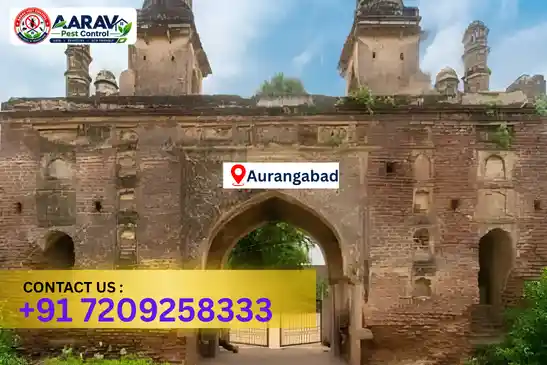 pest control in aurangabad, pest control aurangabad, pest control services aurangabad, pest control company in aurangabad, aarav pest control aurangabad, aarav pest control in aurangabad, best pest control in aurangabad, professional pest control aurangabad, termite control in aurangabad, termite treatment aurangabad, cockroach control aurangabad, bed bug control aurangabad, mosquito control aurangabad, rat control aurangabad, rodent control aurangabad, ant control aurangabad, lizard control aurangabad, wood borer control aurangabad, wood borer treatment aurangabad, general pest control aurangabad, home pest control aurangabad, commercial pest control aurangabad, pest control near me aurangabad, pest control price aurangabad, pest control price list aurangabad, price list in aurangabad, pest control cost aurangabad, termite control price aurangabad, wood borer treatment price aurangabad, best pest control company in aurangabad, pest control service in aurangabad, aarav pest control price list aurangabad, aarav pest control termite control aurangabad, aarav pest control wood borer treatment aurangabad