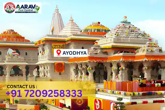 ayodhya pest control, pest control in ayodhya, pest control service ayodhya, pest control company in ayodhya, best pest control ayodhya, home pest control ayodhya, commercial pest control ayodhya, termite control in ayodhya, termite treatment ayodhya, cockroach control ayodhya, mosquito control ayodhya, bed bug control ayodhya, rat control ayodhya, lizard control ayodhya, ant control ayodhya, general pest control ayodhya, pest management ayodhya, pest control price ayodhya, ayodhya pest control price list, price list in ayodhya, pest control company in ayodhya, termite control in ayodhya, affordable pest control ayodhya, professional pest control ayodhya, pest control near me ayodhya, pest control services ayodhya uttar pradesh, aarav pest control ayodhya, aarav pest control in ayodhya, aarav pest control uttar pradesh.