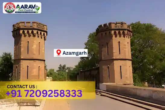 azamgarh pest control, pest control in azamgarh, pest control service azamgarh, pest control company in azamgarh, best pest control azamgarh, home pest control azamgarh, commercial pest control azamgarh, termite control in azamgarh, termite treatment azamgarh, cockroach control azamgarh, mosquito control azamgarh, bed bug control azamgarh, rat control azamgarh, lizard control azamgarh, ant control azamgarh, general pest control azamgarh, pest management azamgarh, pest control price azamgarh, azamgarh pest control price list, price list in azamgarh, pest control company in azamgarh, termite control in azamgarh, affordable pest control azamgarh, professional pest control azamgarh, pest control near me azamgarh, pest control services azamgarh uttar pradesh, aarav pest control azamgarh, aarav pest control in azamgarh, aarav pest control uttar pradesh.