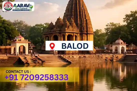 pest control in balod, pest control balod, pest control services balod, pest control company in balod, best pest control in balod, professional pest control balod, termite control in balod, termite treatment balod, cockroach control balod, cockroach treatment balod, bed bug control balod, mosquito control balod, rat control balod, rodent control balod, ant control balod, lizard control balod, general pest control balod, home pest control balod, commercial pest control balod, pest control near me balod, pest control price balod, pest control price list balod, price list in balod, pest control cost balod, termite control price balod, termite treatment price balod, best pest control company in balod, pest control service in balod, insect care pest control balod