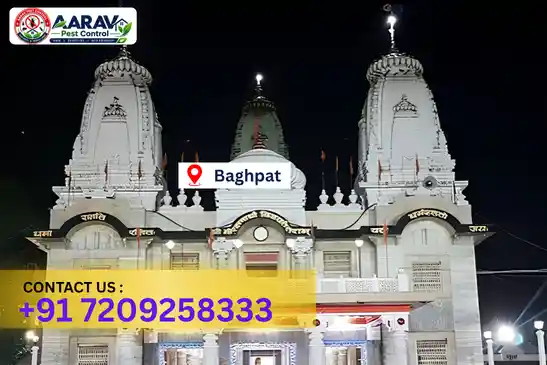 bagpat pest control, pest control in bagpat, pest control service bagpat, pest control company in bagpat, best pest control bagpat, home pest control bagpat, commercial pest control bagpat, termite control in bagpat, termite treatment bagpat, cockroach control bagpat, mosquito control bagpat, bed bug control bagpat, rat control bagpat, lizard control bagpat, ant control bagpat, general pest control bagpat, pest management bagpat, pest control price bagpat, bagpat pest control price list, price list in bagpat, pest control company in bagpat, termite control in bagpat, affordable pest control bagpat, professional pest control bagpat, pest control near me bagpat, pest control services bagpat uttar pradesh, aarav pest control bagpat, aarav pest control in bagpat, aarav pest control uttar pradesh.