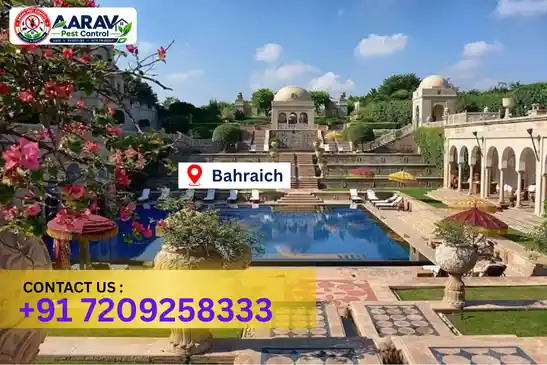 bahraich pest control, pest control in bahraich, pest control service bahraich, pest control company in bahraich, best pest control bahraich, home pest control bahraich, commercial pest control bahraich, termite control in bahraich, termite treatment bahraich, cockroach control bahraich, mosquito control bahraich, bed bug control bahraich, rat control bahraich, lizard control bahraich, ant control bahraich, general pest control bahraich, pest management bahraich, pest control price bahraich, bahraich pest control price list, price list in bahraich, pest control company in bahraich, termite control in bahraich, affordable pest control bahraich, professional pest control bahraich, pest control near me bahraich, pest control services bahraich uttar pradesh, aarav pest control bahraich, aarav pest control in bahraich, aarav pest control uttar pradesh.