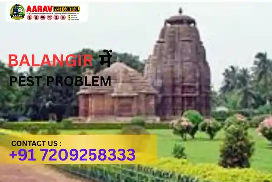 pest control in balangir, pest control service balangir, best pest control in balangir, pest control company in balangir, pest control services odisha, termite control balangir, cockroach control balangir, mosquito control balangir, ant control balangir, rodent control balangir, bed bug control balangir, fly control balangir, lizard control balangir, residential pest control balangir, commercial pest control balangir, professional pest control balangir, home pest control balangir, office pest control balangir, pest management balangir, pest treatment balangir, pest control near balangir, aarav pest control balangir, pest control in titilagarh, pest control in patnagarh, pest control in kantabanji, pest control in loisingha, pest control in saintala, pest control in bangomunda, pest control in muribahal, pest control in gudvella, pest control near balangir odisha, pest control services near me balangir