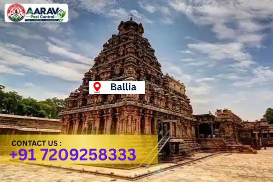 ballia pest control, pest control in ballia, pest control service ballia, pest control company in ballia, best pest control ballia, home pest control ballia, commercial pest control ballia, termite control in ballia, termite treatment ballia, cockroach control ballia, mosquito control ballia, bed bug control ballia, rat control ballia, lizard control ballia, ant control ballia, general pest control ballia, pest management ballia, pest control price ballia, ballia pest control price list, price list in ballia, pest control company in ballia, termite control in ballia, affordable pest control ballia, professional pest control ballia, pest control near me ballia, pest control services ballia uttar pradesh, aarav pest control ballia, aarav pest control in ballia, aarav pest control uttar pradesh.