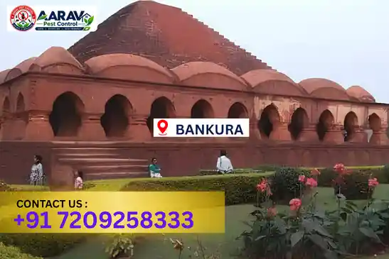 pest control in bankura, pest control bankura, pest control services bankura, pest control company in bankura, best pest control in bankura, professional pest control bankura, termite control in bankura, termite treatment bankura, cockroach control bankura, bed bug control bankura, mosquito control bankura, rat control bankura, rodent control bankura, ant control bankura, lizard control bankura, wood borer control bankura, wood borer treatment bankura, general pest control bankura, home pest control bankura, commercial pest control bankura, pest control near me bankura, pest control price bankura, pest control price list bankura, price list in bankura, pest control cost bankura, termite control price bankura, wood borer treatment price bankura, best pest control company in bankura, pest control service in bankura, insect care pest control bankura
