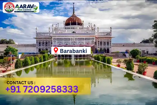 barabanki pest control, pest control in barabanki, pest control service barabanki, pest control company in barabanki, best pest control barabanki, home pest control barabanki, commercial pest control barabanki, termite control in barabanki, termite treatment barabanki, cockroach control barabanki, mosquito control barabanki, bed bug control barabanki, rat control barabanki, lizard control barabanki, ant control barabanki, general pest control barabanki, pest management barabanki, pest control price barabanki, barabanki pest control price list, price list in barabanki, pest control company in barabanki, termite control in barabanki, affordable pest control barabanki, professional pest control barabanki, pest control near me barabanki, pest control services barabanki uttar pradesh, aarav pest control barabanki, aarav pest control in barabanki, aarav pest control uttar pradesh.