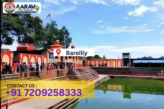 bareilly pest control, pest control in bareilly, pest control service bareilly, pest control company in bareilly, best pest control bareilly, home pest control bareilly, commercial pest control bareilly, termite control in bareilly, termite treatment bareilly, cockroach control bareilly, mosquito control bareilly, bed bug control bareilly, rat control bareilly, lizard control bareilly, ant control bareilly, general pest control bareilly, pest management bareilly, pest control price bareilly, bareilly pest control price list, price list in bareilly, pest control company in bareilly, termite control in bareilly, affordable pest control bareilly, professional pest control bareilly, pest control near me bareilly, pest control services bareilly uttar pradesh, aarav pest control bareilly, aarav pest control in bareilly, aarav pest control uttar pradesh.