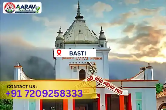 basti pest control, pest control in basti, pest control service basti, pest control company in basti, best pest control basti, home pest control basti, commercial pest control basti, termite control in basti, termite treatment basti, cockroach control basti, mosquito control basti, bed bug control basti, rat control basti, lizard control basti, ant control basti, general pest control basti, pest management basti, pest control price basti, basti pest control price list, price list in basti, pest control company in basti, termite control in basti, affordable pest control basti, professional pest control basti, pest control near me basti, pest control services basti uttar pradesh, aarav pest control basti, aarav pest control in basti, aarav pest control uttar pradesh.