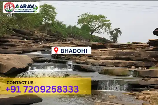 bhadohi pest control, pest control in bhadohi, pest control service bhadohi, pest control company in bhadohi, best pest control bhadohi, home pest control bhadohi, commercial pest control bhadohi, termite control in bhadohi, termite treatment bhadohi, cockroach control bhadohi, mosquito control bhadohi, bed bug control bhadohi, rat control bhadohi, lizard control bhadohi, ant control bhadohi, general pest control bhadohi, pest management bhadohi, pest control price bhadohi, bhadohi pest control price list, price list in bhadohi, pest control company in bhadohi, termite control in bhadohi, affordable pest control bhadohi, professional pest control bhadohi, pest control near me bhadohi, pest control services bhadohi uttar pradesh, aarav pest control bhadohi, aarav pest control in bhadohi, aarav pest control uttar pradesh.