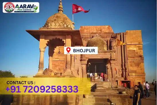 pest control in bhojpur, pest control bhojpur, pest control services bhojpur, pest control company in bhojpur, aarav pest control bhojpur, best pest control in bhojpur, professional pest control bhojpur, termite control in bhojpur, termite treatment bhojpur, cockroach control bhojpur, bed bug control bhojpur, mosquito control bhojpur, rat control bhojpur, rodent control bhojpur, ant control bhojpur, lizard control bhojpur, wood borer control bhojpur, wood borer treatment bhojpur, general pest control bhojpur, home pest control bhojpur, commercial pest control bhojpur, pest control near me bhojpur, pest control price bhojpur, pest control price list bhojpur, price list in bhojpur, pest control cost bhojpur, termite control price bhojpur, wood borer treatment price bhojpur, best pest control company in bhojpur, pest control service in bhojpur, aarav pest control price list bhojpur, aarav pest control termite control bhojpur, aarav pest control wood borer treatment bhojpur