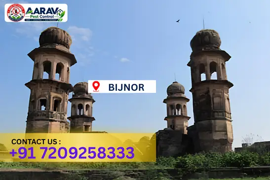 bijnor pest control, pest control in bijnor, pest control service bijnor, pest control company in bijnor, best pest control bijnor, home pest control bijnor, commercial pest control bijnor, termite control in bijnor, termite treatment bijnor, cockroach control bijnor, mosquito control bijnor, bed bug control bijnor, rat control bijnor, lizard control bijnor, ant control bijnor, general pest control bijnor, pest management bijnor, pest control price bijnor, bijnor pest control price list, price list in bijnor, pest control company in bijnor, termite control in bijnor, affordable pest control bijnor, professional pest control bijnor, pest control near me bijnor, pest control services bijnor uttar pradesh, aarav pest control bijnor, aarav pest control in bijnor, aarav pest control uttar pradesh.