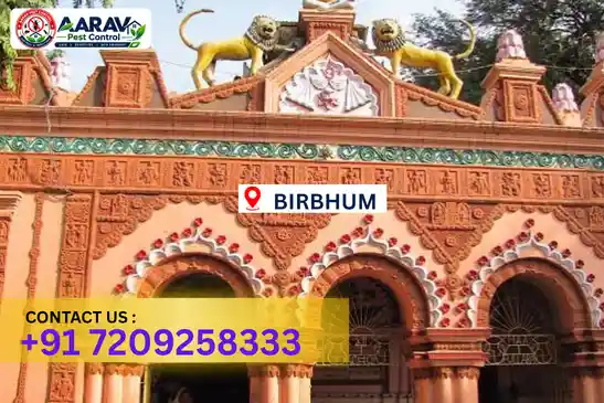 pest control in birbhum, pest control birbhum, pest control services birbhum, pest control company in birbhum, best pest control in birbhum, professional pest control birbhum, termite control in birbhum, termite treatment birbhum, cockroach control birbhum, bed bug control birbhum, mosquito control birbhum, rat control birbhum, rodent control birbhum, ant control birbhum, lizard control birbhum, wood borer control birbhum, wood borer treatment birbhum, general pest control birbhum, home pest control birbhum, commercial pest control birbhum, pest control near me birbhum, pest control price birbhum, pest control price list birbhum, price list in birbhum, pest control cost birbhum, termite control price birbhum, wood borer treatment price birbhum, best pest control company in birbhum, pest control service in birbhum, insect care pest control birbhum