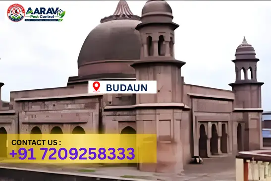 budaun pest control, pest control in budaun, pest control service budaun, pest control company in budaun, best pest control budaun, home pest control budaun, commercial pest control budaun, termite control in budaun, termite treatment budaun, cockroach control budaun, mosquito control budaun, bed bug control budaun, rat control budaun, lizard control budaun, ant control budaun, general pest control budaun, pest management budaun, pest control price budaun, budaun pest control price list, price list in budaun, affordable pest control budaun, professional pest control budaun, pest control near me budaun, pest control services budaun uttar pradesh, aarav pest control budaun, aarav pest control in budaun, aarav pest control uttar pradesh.