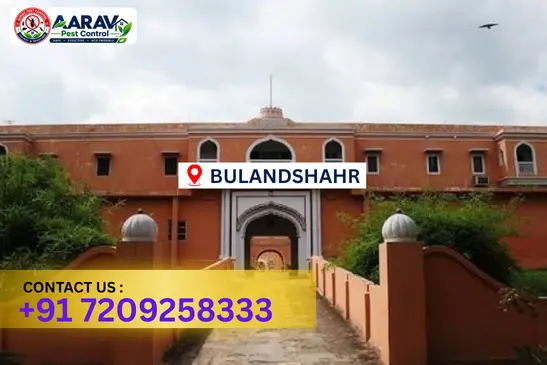 bulandshahr pest control, pest control in bulandshahr, pest control service bulandshahr, pest control company in bulandshahr, best pest control bulandshahr, home pest control bulandshahr, commercial pest control bulandshahr, termite control in bulandshahr, termite treatment bulandshahr, cockroach control bulandshahr, mosquito control bulandshahr, bed bug control bulandshahr, rat control bulandshahr, lizard control bulandshahr, ant control bulandshahr, general pest control bulandshahr, pest management bulandshahr, pest control price bulandshahr, bulandshahr pest control price list, price list in bulandshahr, affordable pest control bulandshahr, professional pest control bulandshahr, pest control near me bulandshahr, pest control services bulandshahr uttar pradesh, aarav pest control bulandshahr, aarav pest control in bulandshahr, aarav pest control uttar pradesh.