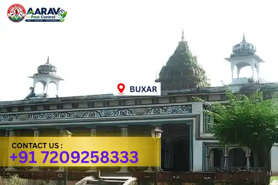 pest control in buxar, pest control buxar, pest control services buxar, pest control company in buxar, aarav pest control buxar, best pest control in buxar, professional pest control buxar, termite control in buxar, termite treatment buxar, cockroach control buxar, bed bug control buxar, mosquito control buxar, rat control buxar, rodent control buxar, ant control buxar, lizard control buxar, wood borer control buxar, wood borer treatment buxar, general pest control buxar, home pest control buxar, commercial pest control buxar, pest control near me buxar, pest control price buxar, pest control price list buxar, price list in buxar, pest control cost buxar, termite control price buxar, wood borer treatment price buxar, best pest control company in buxar, pest control service in buxar, aarav pest control price list buxar, aarav pest control termite control buxar, aarav pest control wood borer treatment buxar