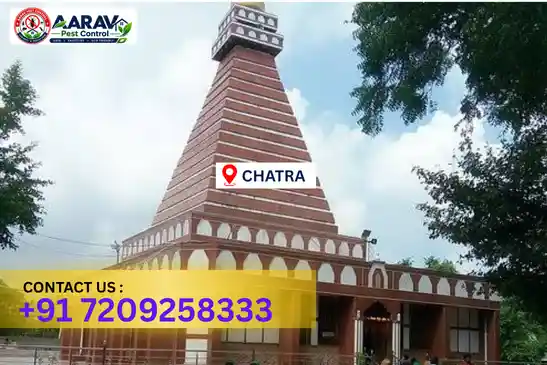 chatra pest control, pest control in chatra, pest control service in chatra, pest control company in chatra, best pest control in chatra, professional pest control chatra, home pest control chatra, residential pest control chatra, commercial pest control chatra, office pest control chatra, general pest control chatra, termite control in chatra, termite treatment chatra, termite control service chatra, anti termite treatment chatra, termite removal chatra, termite inspection chatra, termite prevention chatra, cockroach control chatra, cockroach treatment chatra, cockroach removal chatra, mosquito control chatra, mosquito treatment chatra, mosquito fogging chatra, bed bug control chatra, bed bug treatment chatra, bed bug removal chatra, rat control chatra, rodent control chatra, rat treatment chatra, lizard control chatra, ant control chatra, spider control chatra, fly control chatra, wood borer control chatra, wood borer treatment chatra, insect control chatra, insect treatment chatra, pest management chatra, pest management services chatra, residential pest control service chatra, commercial pest control service chatra, industrial pest control chatra, hotel pest control chatra, restaurant pest control chatra, warehouse pest control chatra, school pest control chatra, hospital pest control chatra, pest control charges chatra, pest control cost chatra, pest control price chatra, chatra pest control price, chatra pest control price list, price list in chatra, pest control company in chatra, termite control in chatra, affordable pest control chatra, reliable pest control company chatra, pest control near me chatra, professional pest control service chatra, pest control services chatra jharkhand, termite treatment chatra jharkhand, cockroach control chatra jharkhand, mosquito control chatra jharkhand, bed bug treatment chatra jharkhand.