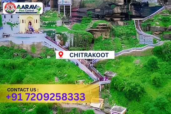 chitrakoot pest control, pest control in chitrakoot, pest control service chitrakoot, pest control company in chitrakoot, best pest control chitrakoot, home pest control chitrakoot, commercial pest control chitrakoot, termite control in chitrakoot, termite treatment chitrakoot, cockroach control chitrakoot, mosquito control chitrakoot, bed bug control chitrakoot, rat control chitrakoot, lizard control chitrakoot, ant control chitrakoot, general pest control chitrakoot, pest management chitrakoot, pest control price chitrakoot, chitrakoot pest control price list, price list in chitrakoot, affordable pest control chitrakoot, professional pest control chitrakoot, pest control near me chitrakoot, pest control services chitrakoot uttar pradesh, aarav pest control chitrakoot, aarav pest control in chitrakoot, aarav pest control uttar pradesh.