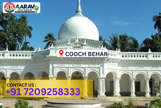 pest control in cooch behar, pest control cooch behar, pest control services cooch behar, pest control company in cooch behar, best pest control in cooch behar, professional pest control cooch behar, termite control in cooch behar, termite treatment cooch behar, cockroach control cooch behar, bed bug control cooch behar, mosquito control cooch behar, rat control cooch behar, rodent control cooch behar, ant control cooch behar, lizard control cooch behar, wood borer control cooch behar, wood borer treatment cooch behar, general pest control cooch behar, home pest control cooch behar, commercial pest control cooch behar, pest control near me cooch behar, pest control price cooch behar, pest control price list cooch behar, price list in cooch behar, pest control cost cooch behar, termite control price cooch behar, wood borer treatment price cooch behar, best pest control company in cooch behar, pest control service in cooch behar, insect care pest control cooch behar
