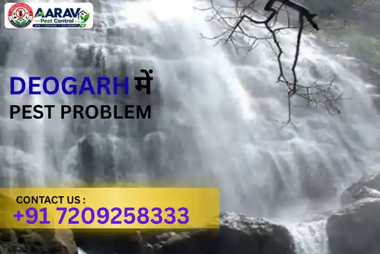 pest control in deogarh, pest control service deogarh, best pest control in deogarh, pest control company in deogarh, pest control services odisha, termite control deogarh, cockroach control deogarh, mosquito control deogarh, ant control deogarh, rodent control deogarh, bed bug control deogarh, fly control deogarh, lizard control deogarh, residential pest control deogarh, commercial pest control deogarh, professional pest control deogarh, home pest control deogarh, office pest control deogarh, pest management deogarh, pest treatment deogarh, pest control near deogarh, aarav pest control deogarh, pest control in barkote, pest control in reamal, pest control in tileibani, pest control near deogarh odisha, pest control services near me deogarh