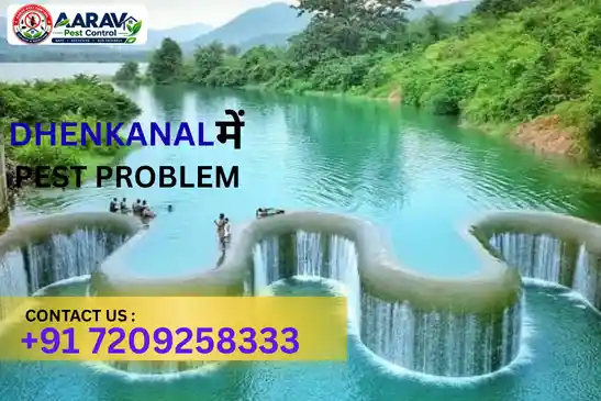 pest control in dhenkanal, pest control service dhenkanal, best pest control in dhenkanal, pest control company in dhenkanal, pest control services odisha, termite control dhenkanal, cockroach control dhenkanal, mosquito control dhenkanal, ant control dhenkanal, rodent control dhenkanal, bed bug control dhenkanal, fly control dhenkanal, lizard control dhenkanal, residential pest control dhenkanal, commercial pest control dhenkanal, professional pest control dhenkanal, home pest control dhenkanal, office pest control dhenkanal, pest management dhenkanal, pest treatment dhenkanal, pest control near dhenkanal, aarav pest control dhenkanal, pest control in kamakhyanagar, pest control in hindol, pest control in gondia, pest control in odapada, pest control in parjang, pest control in bhuban, pest control in kankadahad, pest control near dhenkanal odisha, pest control services near me dhenkanal