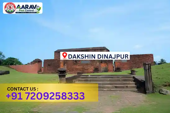 pest control in dakshin dinajpur, pest control dakshin dinajpur, pest control services dakshin dinajpur, pest control company in dakshin dinajpur, best pest control in dakshin dinajpur, professional pest control dakshin dinajpur, termite control in dakshin dinajpur, termite treatment dakshin dinajpur, cockroach control dakshin dinajpur, bed bug control dakshin dinajpur, mosquito control dakshin dinajpur, rat control dakshin dinajpur, rodent control dakshin dinajpur, ant control dakshin dinajpur, lizard control dakshin dinajpur, wood borer control dakshin dinajpur, wood borer treatment dakshin dinajpur, general pest control dakshin dinajpur, home pest control dakshin dinajpur, commercial pest control dakshin dinajpur, pest control near me dakshin dinajpur, pest control price dakshin dinajpur, pest control price list dakshin dinajpur, price list in dakshin dinajpur, pest control cost dakshin dinajpur, termite control price dakshin dinajpur, wood borer treatment price dakshin dinajpur, best pest control company in dakshin dinajpur, pest control service in dakshin dinajpur, insect care pest control dakshin dinajpur