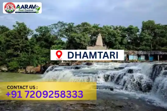 pest control in dhamtari, pest control dhamtari, pest control services dhamtari, pest control company in dhamtari, best pest control in dhamtari, professional pest control dhamtari, termite control in dhamtari, termite treatment dhamtari, cockroach control dhamtari, cockroach treatment dhamtari, bed bug control dhamtari, mosquito control dhamtari, rat control dhamtari, rodent control dhamtari, ant control dhamtari, lizard control dhamtari, general pest control dhamtari, home pest control dhamtari, commercial pest control dhamtari, pest control near me dhamtari, pest control price dhamtari, pest control price list dhamtari, price list in dhamtari, pest control cost dhamtari, termite control price dhamtari, termite treatment price dhamtari, best pest control company in dhamtari, pest control service in dhamtari, insect care pest control dhamtari
