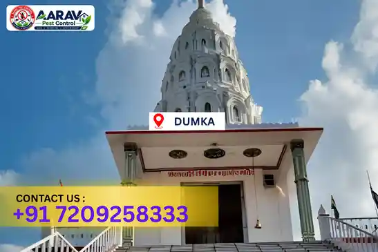 dumka pest control, pest control in dumka, pest control service dumka, pest control company in dumka, best pest control dumka, home pest control dumka, commercial pest control dumka, termite control in dumka, termite treatment dumka, termite control service dumka, cockroach control dumka, cockroach treatment dumka, mosquito control dumka, mosquito treatment dumka, bed bug control dumka, bed bug treatment dumka, rat control dumka, rodent control dumka, lizard control dumka, ant control dumka, general pest control dumka, pest management dumka, pest control price dumka, dumka pest control price list, price list in dumka, pest control company in dumka, termite control in dumka, affordable pest control dumka, pest control near me dumka, professional pest control dumka, pest control services dumka jharkhand.