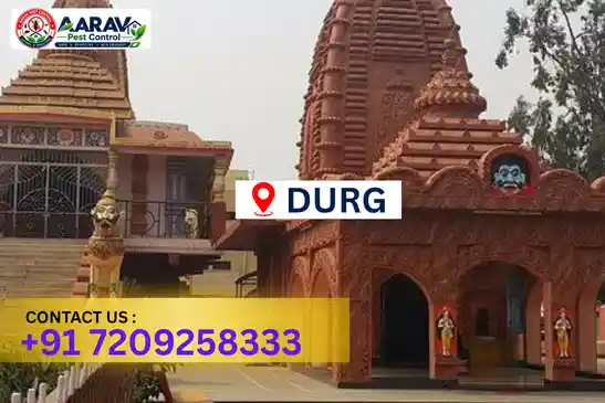 pest control in durg, pest control durg, pest control services durg, pest control company in durg, best pest control in durg, professional pest control durg, termite control in durg, termite treatment durg, cockroach control durg, cockroach treatment durg, bed bug control durg, mosquito control durg, rat control durg, rodent control durg, ant control durg, lizard control durg, general pest control durg, home pest control durg, commercial pest control durg, pest control near me durg, pest control price durg, pest control price list durg, price list in durg, pest control cost durg, termite control price durg, termite treatment price durg, best pest control company in durg, pest control service in durg, insect care pest control durg