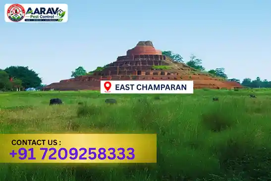 pest control in east champaran, pest control east champaran, pest control services east champaran, pest control company in east champaran, aarav pest control east champaran, best pest control in east champaran, professional pest control east champaran, termite control in east champaran, termite treatment east champaran, cockroach control east champaran, bed bug control east champaran, mosquito control east champaran, rat control east champaran, rodent control east champaran, ant control east champaran, lizard control east champaran, wood borer control east champaran, wood borer treatment east champaran, general pest control east champaran, home pest control east champaran, commercial pest control east champaran, pest control near me east champaran, pest control price east champaran, pest control price list east champaran, price list in east champaran, pest control cost east champaran, termite control price east champaran, wood borer treatment price east champaran, best pest control company in east champaran, pest control service in east champaran, aarav pest control price list east champaran, aarav pest control termite control east champaran, aarav pest control wood borer treatment east champaran