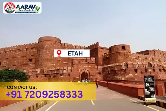 etah pest control, pest control in etah, pest control service etah, pest control company in etah, best pest control etah, home pest control etah, commercial pest control etah, termite control in etah, termite treatment etah, cockroach control etah, mosquito control etah, bed bug control etah, rat control etah, lizard control etah, ant control etah, general pest control etah, pest management etah, pest control price etah, etah pest control price list, price list in etah, affordable pest control etah, professional pest control etah, pest control near me etah, pest control services etah uttar pradesh, aarav pest control etah, aarav pest control in etah, aarav pest control uttar pradesh.