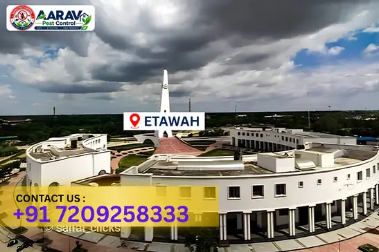etawah pest control, pest control in etawah, pest control service etawah, pest control company in etawah, best pest control etawah, home pest control etawah, commercial pest control etawah, termite control in etawah, termite treatment etawah, cockroach control etawah, mosquito control etawah, bed bug control etawah, rat control etawah, lizard control etawah, ant control etawah, general pest control etawah, pest management etawah, pest control price etawah, etawah pest control price list, price list in etawah, affordable pest control etawah, professional pest control etawah, pest control near me etawah, pest control services etawah uttar pradesh, aarav pest control etawah, aarav pest control in etawah, aarav pest control uttar pradesh.