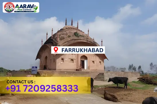 farrukhabad pest control, pest control in farrukhabad, pest control service farrukhabad, pest control company in farrukhabad, best pest control farrukhabad, home pest control farrukhabad, commercial pest control farrukhabad, termite control in farrukhabad, termite treatment farrukhabad, cockroach control farrukhabad, mosquito control farrukhabad, bed bug control farrukhabad, rat control farrukhabad, lizard control farrukhabad, ant control farrukhabad, general pest control farrukhabad, pest management farrukhabad, pest control price farrukhabad, farrukhabad pest control price list, price list in farrukhabad, affordable pest control farrukhabad, professional pest control farrukhabad, pest control near me farrukhabad, pest control services farrukhabad uttar pradesh, aarav pest control farrukhabad, aarav pest control in farrukhabad, aarav pest control uttar pradesh.