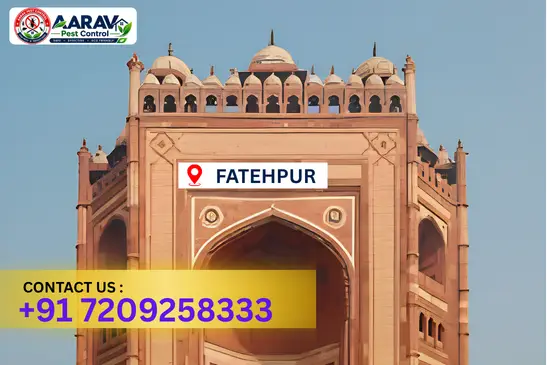 fatehpur pest control, pest control in fatehpur, pest control service fatehpur, pest control company in fatehpur, best pest control fatehpur, home pest control fatehpur, commercial pest control fatehpur, termite control in fatehpur, termite treatment fatehpur, cockroach control fatehpur, mosquito control fatehpur, bed bug control fatehpur, rat control fatehpur, lizard control fatehpur, ant control fatehpur, general pest control fatehpur, pest management fatehpur, pest control price fatehpur, fatehpur pest control price list, price list in fatehpur, affordable pest control fatehpur, professional pest control fatehpur, pest control near me fatehpur, pest control services fatehpur uttar pradesh, aarav pest control fatehpur, aarav pest control in fatehpur, aarav pest control uttar pradesh.
