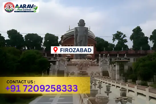 firozabad pest control, pest control in firozabad, pest control service firozabad, pest control company in firozabad, best pest control firozabad, home pest control firozabad, commercial pest control firozabad, termite control in firozabad, termite treatment firozabad, cockroach control firozabad, mosquito control firozabad, bed bug control firozabad, rat control firozabad, lizard control firozabad, ant control firozabad, general pest control firozabad, pest management firozabad, pest control price firozabad, firozabad pest control price list, price list in firozabad, affordable pest control firozabad, professional pest control firozabad, pest control near me firozabad, pest control services firozabad uttar pradesh, aarav pest control firozabad, aarav pest control in firozabad, aarav pest control uttar pradesh.