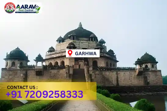 garhwa pest control, pest control in garhwa, pest control service garhwa, pest control company in garhwa, best pest control garhwa, home pest control garhwa, commercial pest control garhwa, termite control in garhwa, termite treatment garhwa, termite control service garhwa, cockroach control garhwa, cockroach treatment garhwa, mosquito control garhwa, mosquito treatment garhwa, bed bug control garhwa, bed bug treatment garhwa, rat control garhwa, rodent control garhwa, lizard control garhwa, ant control garhwa, general pest control garhwa, pest management garhwa, pest control price garhwa, garhwa pest control price list, price list in garhwa, pest control company in garhwa, termite control in garhwa, affordable pest control garhwa, pest control near me garhwa, professional pest control garhwa, pest control services garhwa jharkhand.