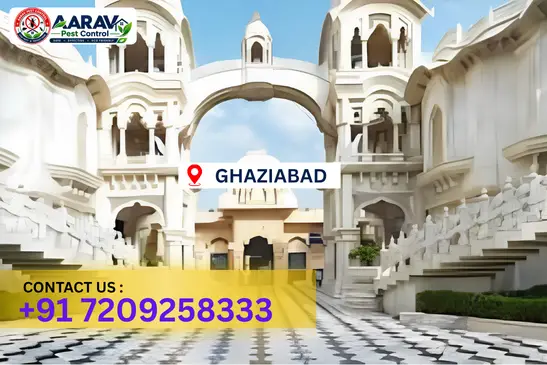 ghaziabad pest control, pest control in ghaziabad, pest control service ghaziabad, pest control company in ghaziabad, best pest control ghaziabad, home pest control ghaziabad, commercial pest control ghaziabad, termite control in ghaziabad, termite treatment ghaziabad, cockroach control ghaziabad, mosquito control ghaziabad, bed bug control ghaziabad, rat control ghaziabad, lizard control ghaziabad, ant control ghaziabad, general pest control ghaziabad, pest management ghaziabad, pest control price ghaziabad, ghaziabad pest control price list, price list in ghaziabad, affordable pest control ghaziabad, professional pest control ghaziabad, pest control near me ghaziabad, pest control services ghaziabad uttar pradesh, aarav pest control ghaziabad, aarav pest control in ghaziabad, aarav pest control uttar pradesh.
