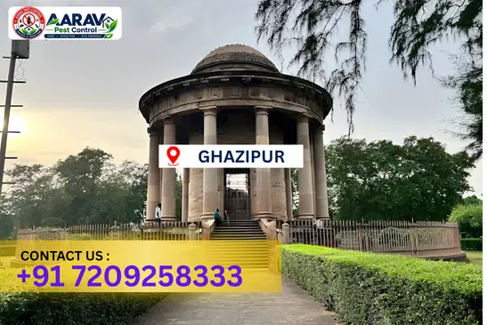 ghazipur pest control, pest control in ghazipur, pest control service ghazipur, pest control company in ghazipur, best pest control ghazipur, home pest control ghazipur, commercial pest control ghazipur, termite control in ghazipur, termite treatment ghazipur, cockroach control ghazipur, mosquito control ghazipur, bed bug control ghazipur, rat control ghazipur, lizard control ghazipur, ant control ghazipur, general pest control ghazipur, pest management ghazipur, pest control price ghazipur, ghazipur pest control price list, price list in ghazipur, affordable pest control ghazipur, professional pest control ghazipur, pest control near me ghazipur, pest control services ghazipur uttar pradesh, aarav pest control ghazipur, aarav pest control in ghazipur, aarav pest control uttar pradesh.