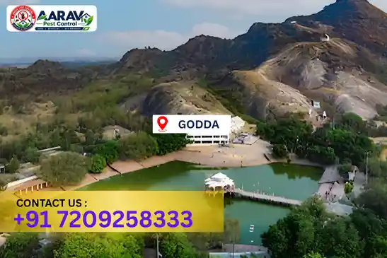 godda pest control, pest control in godda, pest control service godda, pest control company in godda, best pest control godda, home pest control godda, commercial pest control godda, termite control in godda, termite treatment godda, termite control service godda, cockroach control godda, cockroach treatment godda, mosquito control godda, mosquito treatment godda, bed bug control godda, bed bug treatment godda, rat control godda, rodent control godda, lizard control godda, ant control godda, general pest control godda, pest management godda, pest control price godda, godda pest control price list, price list in godda, pest control company in godda, termite control in godda, affordable pest control godda, pest control near me godda, professional pest control godda, pest control services godda jharkhand.