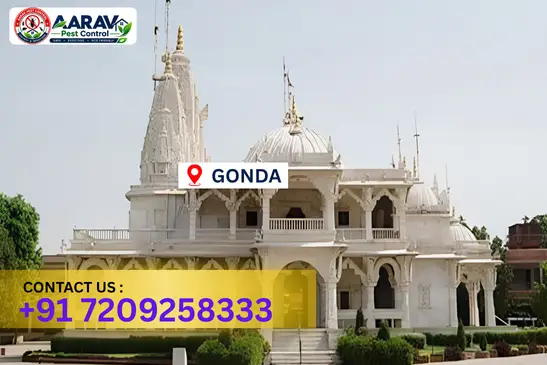 gonda pest control, pest control in gonda, pest control service gonda, pest control company in gonda, best pest control gonda, home pest control gonda, commercial pest control gonda, termite control in gonda, termite treatment gonda, cockroach control gonda, mosquito control gonda, bed bug control gonda, rat control gonda, lizard control gonda, ant control gonda, general pest control gonda, pest management gonda, pest control price gonda, gonda pest control price list, price list in gonda, affordable pest control gonda, professional pest control gonda, pest control near me gonda, pest control services gonda uttar pradesh, aarav pest control gonda, aarav pest control in gonda, aarav pest control uttar pradesh.