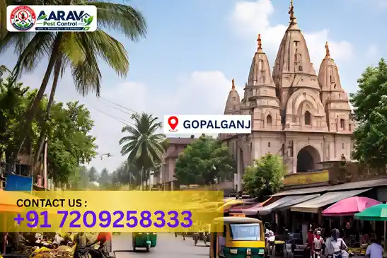 pest control in gopalganj, pest control gopalganj, pest control services gopalganj, pest control company in gopalganj, aarav pest control gopalganj, best pest control in gopalganj, professional pest control gopalganj, termite control in gopalganj, termite treatment gopalganj, cockroach control gopalganj, bed bug control gopalganj, mosquito control gopalganj, rat control gopalganj, rodent control gopalganj, ant control gopalganj, lizard control gopalganj, wood borer control gopalganj, wood borer treatment gopalganj, general pest control gopalganj, home pest control gopalganj, commercial pest control gopalganj, pest control near me gopalganj, pest control price gopalganj, pest control price list gopalganj, price list in gopalganj, pest control cost gopalganj, termite control price gopalganj, wood borer treatment price gopalganj, best pest control company in gopalganj, pest control service in gopalganj, aarav pest control price list gopalganj, aarav pest control termite control gopalganj, aarav pest control wood borer treatment gopalganj