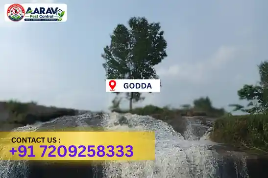 gumla pest control, pest control in gumla, pest control service gumla, pest control company in gumla, best pest control gumla, home pest control gumla, commercial pest control gumla, termite control in gumla, termite treatment gumla, termite control service gumla, cockroach control gumla, cockroach treatment gumla, mosquito control gumla, mosquito treatment gumla, bed bug control gumla, bed bug treatment gumla, rat control gumla, rodent control gumla, lizard control gumla, ant control gumla, general pest control gumla, pest management gumla, pest control price gumla, gumla pest control price list, price list in gumla, pest control company in gumla, termite control in gumla, affordable pest control gumla, pest control near me gumla, professional pest control gumla, pest control services gumla jharkhand.