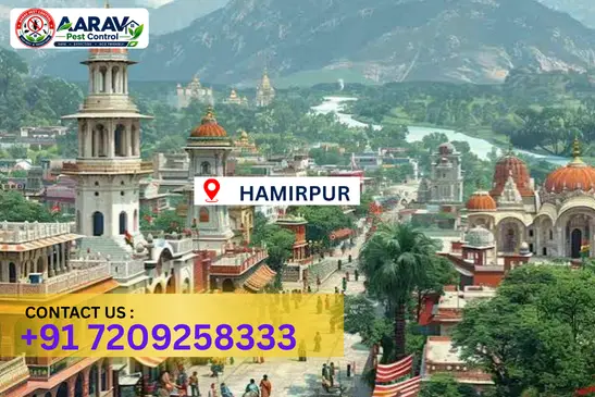 hamirpur pest control, pest control in hamirpur, pest control service hamirpur, pest control company in hamirpur, best pest control hamirpur, home pest control hamirpur, commercial pest control hamirpur, termite control in hamirpur, termite treatment hamirpur, cockroach control hamirpur, mosquito control hamirpur, bed bug control hamirpur, rat control hamirpur, lizard control hamirpur, ant control hamirpur, general pest control hamirpur, pest management hamirpur, pest control price hamirpur, hamirpur pest control price list, price list in hamirpur, affordable pest control hamirpur, professional pest control hamirpur, pest control near me hamirpur, pest control services hamirpur uttar pradesh, aarav pest control hamirpur, aarav pest control in hamirpur, aarav pest control uttar pradesh.