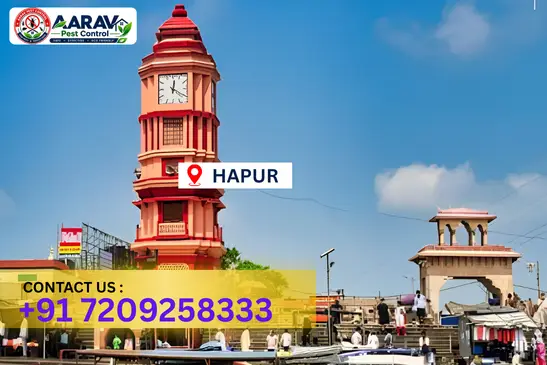 hapur pest control, pest control in hapur, pest control service hapur, pest control company in hapur, best pest control hapur, home pest control hapur, commercial pest control hapur, termite control in hapur, termite treatment hapur, cockroach control hapur, mosquito control hapur, bed bug control hapur, rat control hapur, lizard control hapur, ant control hapur, general pest control hapur, pest management hapur, pest control price hapur, hapur pest control price list, price list in hapur, affordable pest control hapur, professional pest control hapur, pest control near me hapur, pest control services hapur uttar pradesh, aarav pest control hapur, aarav pest control in hapur, aarav pest control uttar pradesh.