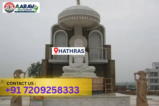 hathras pest control, pest control in hathras, pest control service hathras, pest control company in hathras, best pest control hathras, home pest control hathras, commercial pest control hathras, termite control in hathras, termite treatment hathras, cockroach control hathras, mosquito control hathras, bed bug control hathras, rat control hathras, lizard control hathras, ant control hathras, general pest control hathras, pest management hathras, pest control price hathras, hathras pest control price list, price list in hathras, affordable pest control hathras, professional pest control hathras, pest control near me hathras, pest control services hathras uttar pradesh, aarav pest control hathras, aarav pest control in hathras, aarav pest control uttar pradesh.