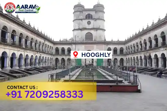 pest control in hooghly, pest control hooghly, pest control services hooghly, pest control company in hooghly, best pest control in hooghly, professional pest control hooghly, termite control in hooghly, termite treatment hooghly, cockroach control hooghly, bed bug control hooghly, mosquito control hooghly, rat control hooghly, rodent control hooghly, ant control hooghly, lizard control hooghly, wood borer control hooghly, wood borer treatment hooghly, general pest control hooghly, home pest control hooghly, commercial pest control hooghly, pest control near me hooghly, pest control price hooghly, pest control price list hooghly, price list in hooghly, pest control cost hooghly, termite control price hooghly, wood borer treatment price hooghly, best pest control company in hooghly, pest control service in hooghly, insect care pest control hooghly